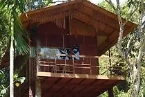 Hotel Mini'S Wind Haven Resort Ramakkalmedu